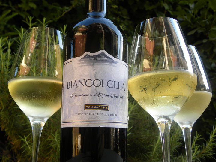 If you like Pinot Grigio, try Biancolella